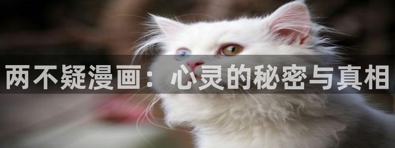 51漫画免费观看
